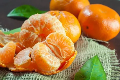 تصویر 3 از قیمت خرید نارنگی تازه با فروش عمده